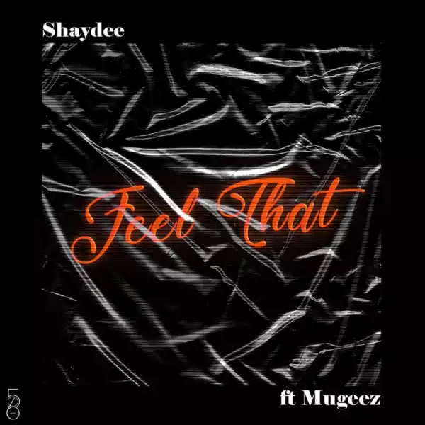 Shaydee - Feel That ft. Mugeez